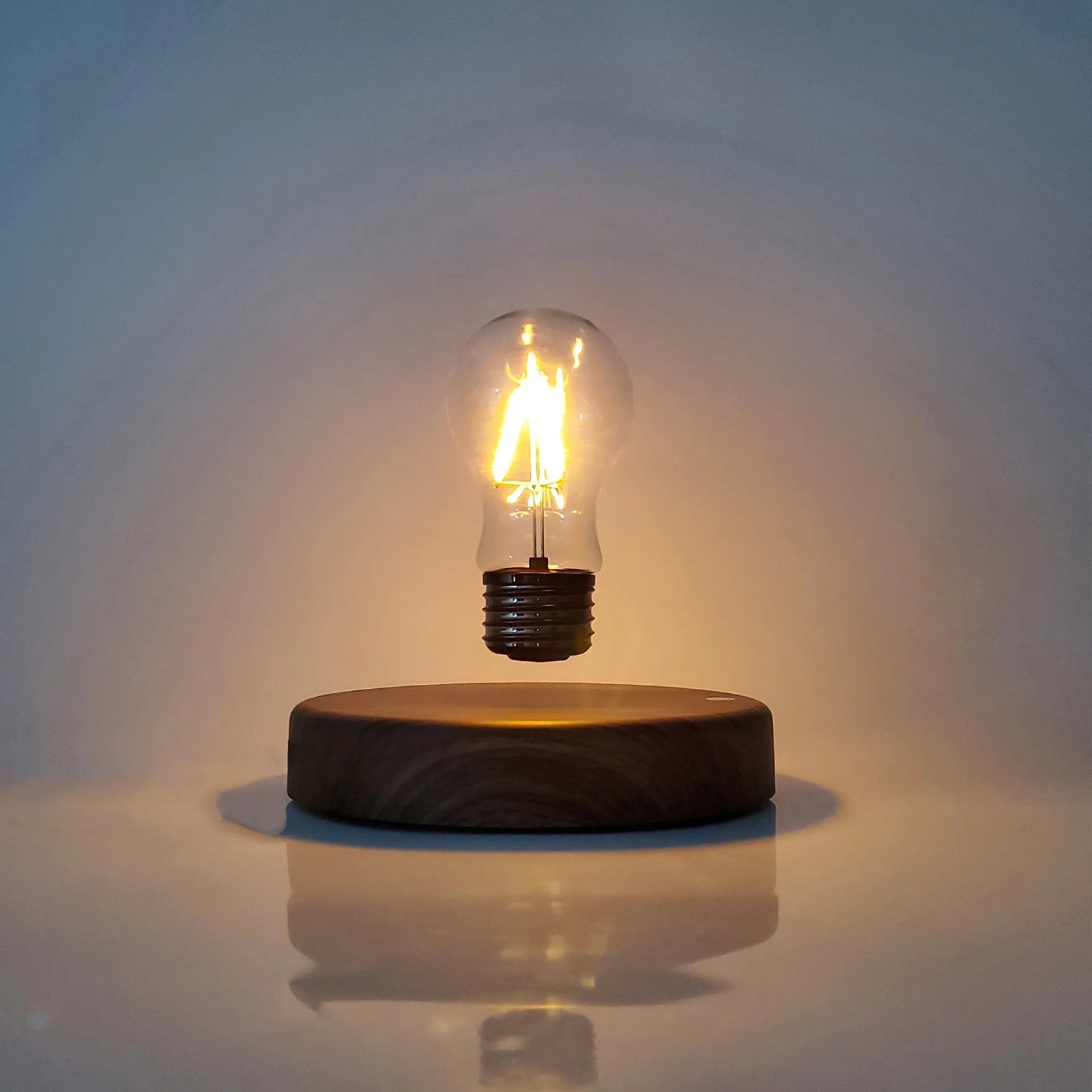Magnetic Bulb